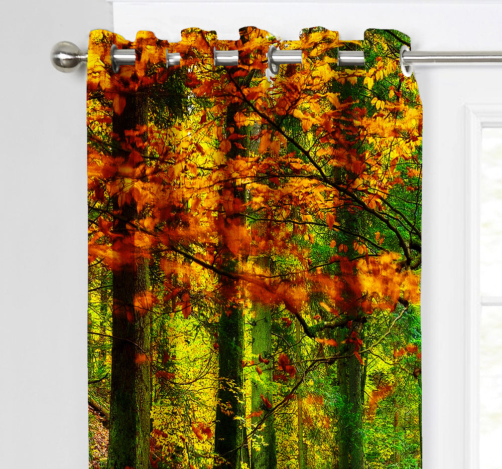 Ultimate Trends Premium Polyester Fancy 3D Scenery Curtain For Home Décor Multi Color, 1 Piece